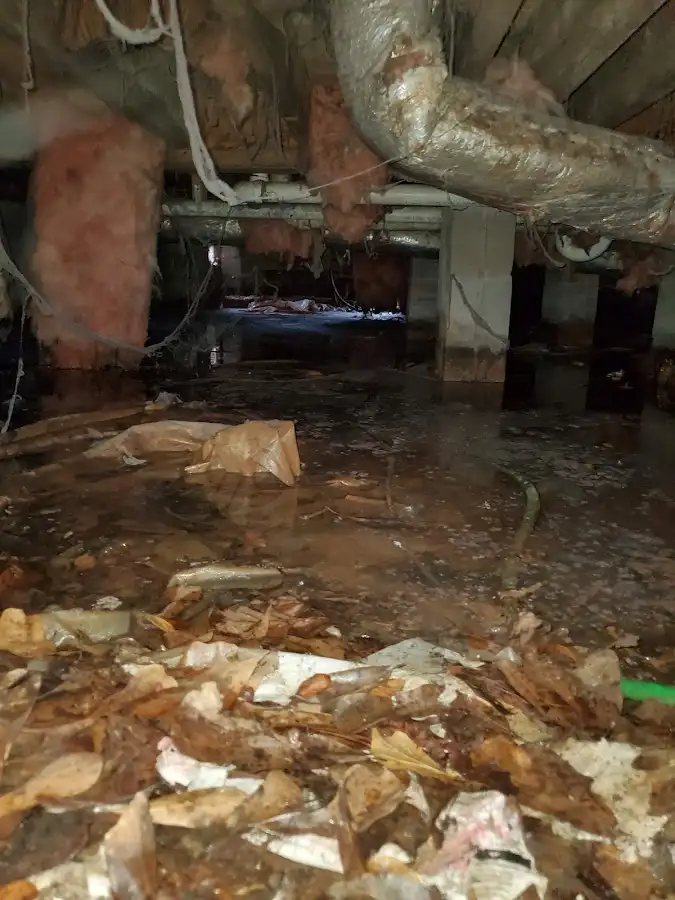 Crawl space flood assessment for Commercial Water Damage Restoration in Geneseo