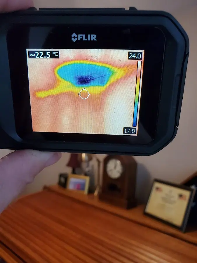 Thermal imaging inspection for water damage in Geneseo