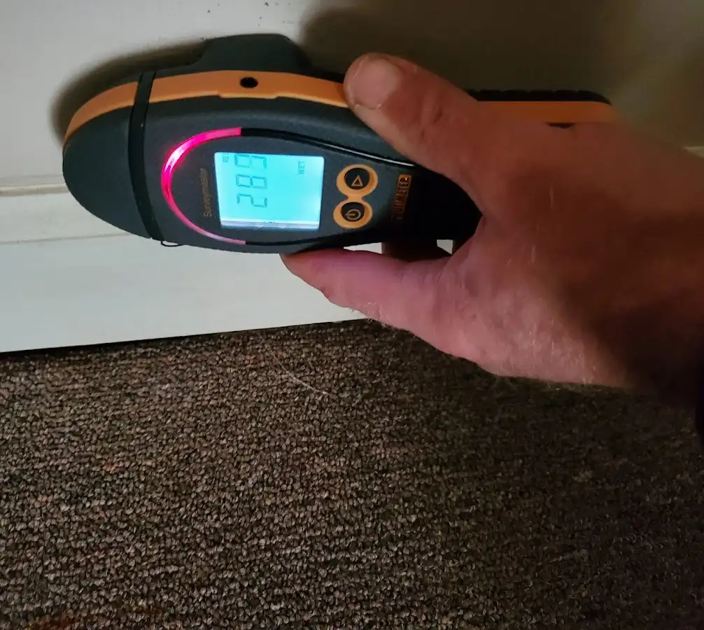 Moisture detection at baseboard during Mold Inspection & Testing in Geneseo